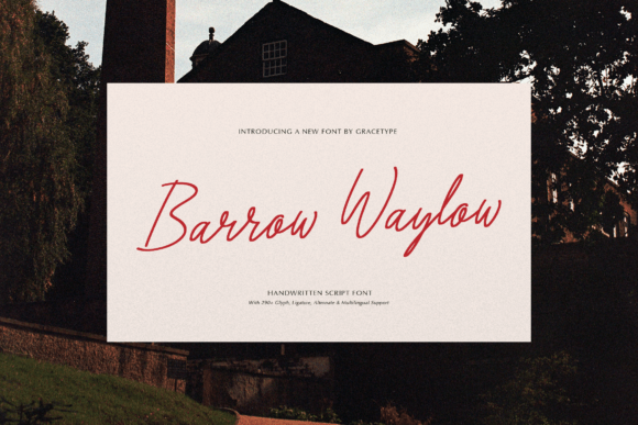 Barrow Waylow: A Handwritten Script Font That Feels Like It Was Made for Real Branding