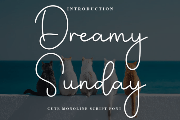 Dreamy Sunday: A Designer’s Real-World Review
