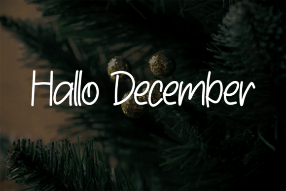 Hallo December: A Modern Script Font for Polished Digital Branding