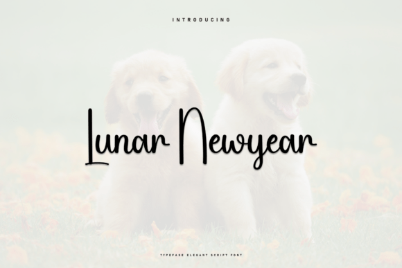 Lunar Newyear: A Handwritten Font That Feels Like Home