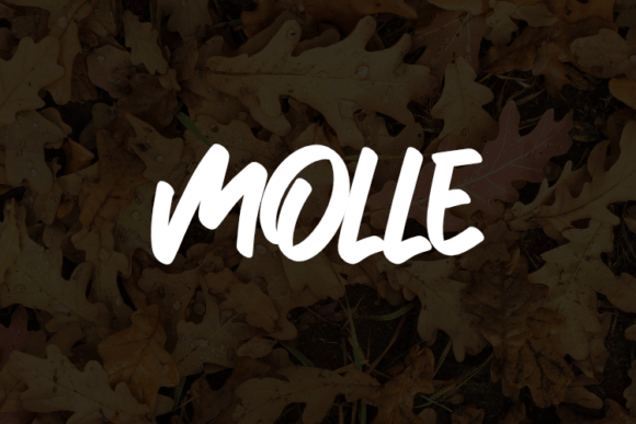 Molle: A Thoughtful Script Font for Editorial Calm