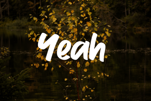 Yeah: A Modern Script Font That Elevates Real Business Branding